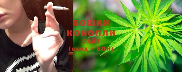 стаф Горняк