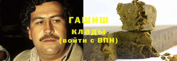 стаф Горняк