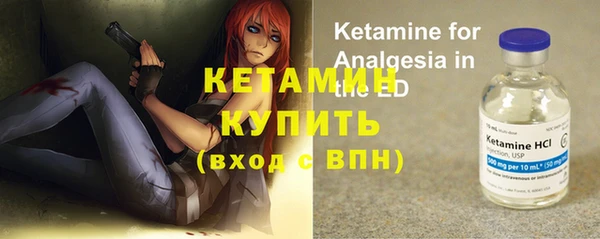 мяу мяу мука Горно-Алтайск