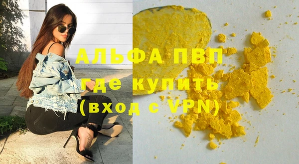 стаф Горняк