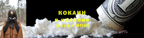 стаф Горняк