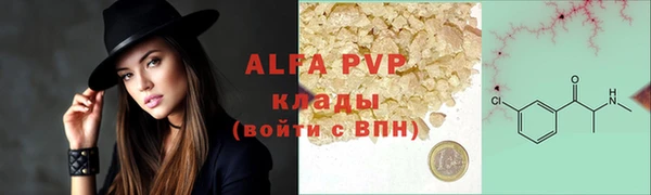 стаф Горняк