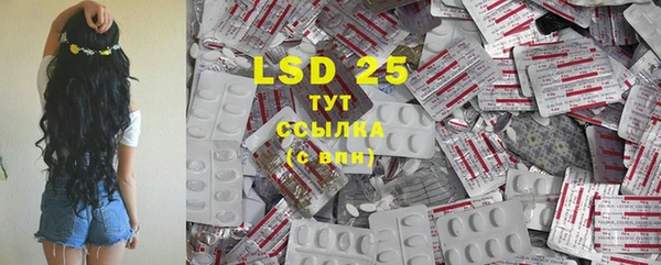стаф Горняк