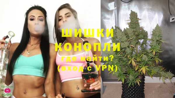 стаф Горняк