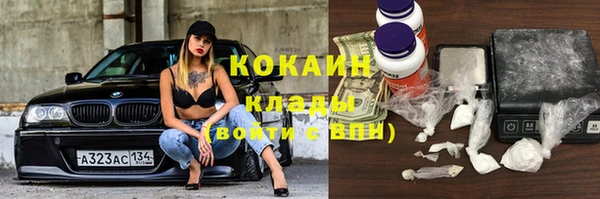 стаф Горняк