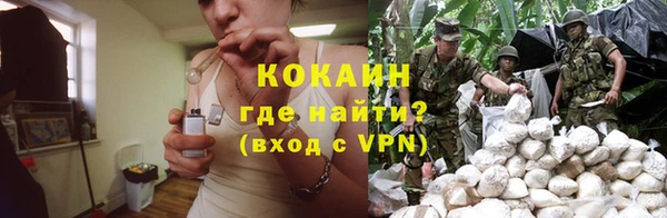 мяу мяу мука Горно-Алтайск