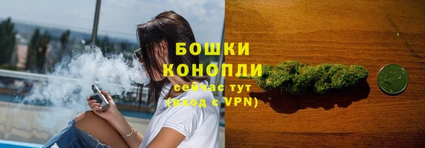 мяу мяу мука Горно-Алтайск