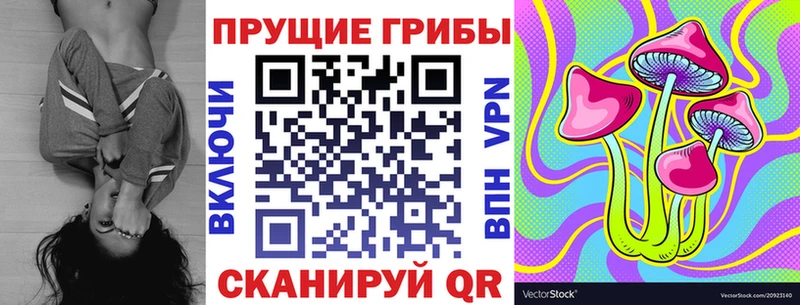 Псилоцибиновые грибы MAGIC MUSHROOMS  Владикавказ 